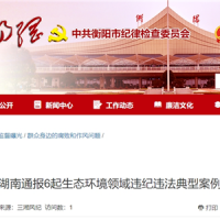 超時(shí)、超量、越界采砂！湖南通報(bào)6起生態(tài)環(huán)境領(lǐng)域違紀(jì)違法典型案例 2起與砂石有關(guān)！
