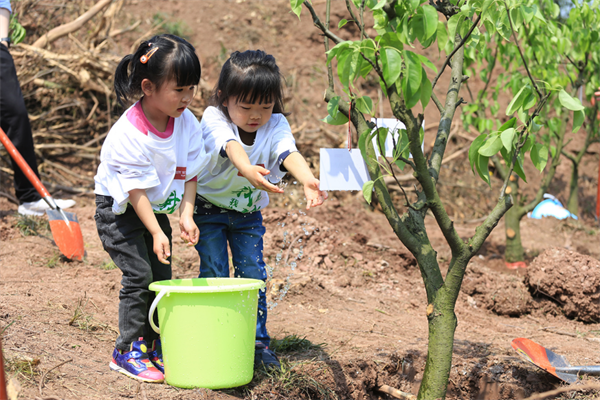 佘學(xué)彬：“種樹(shù)大王”的蜀道行