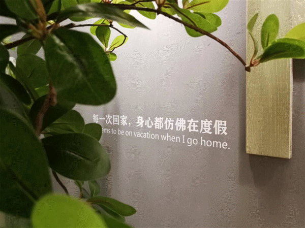 大自然地板23年原木經典系列，此刻光輝重現！