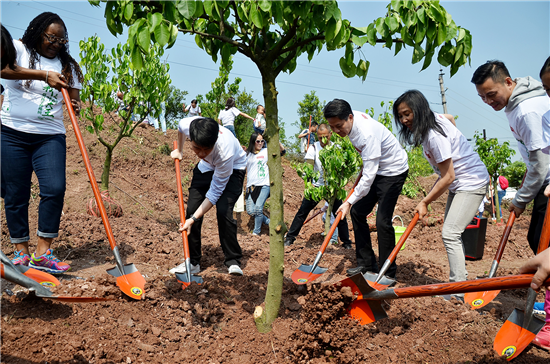 中國環保家居網鏈