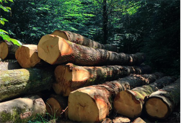 中國環保家居網鏈