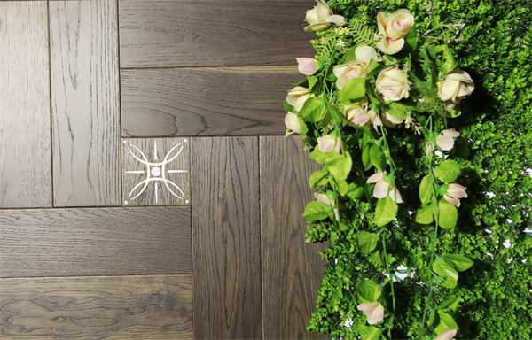 大自然攜手史南橋啟動新精致民宿設計大賽