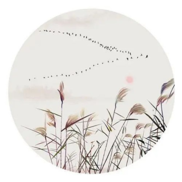 美約風家居之家居設計美學探微（之四） ——錯彩鏤金&初發芙蓉857.jpg